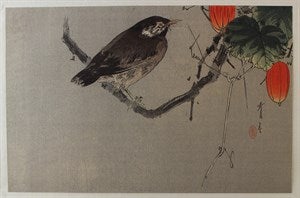 Image description is not available for DU1948.17